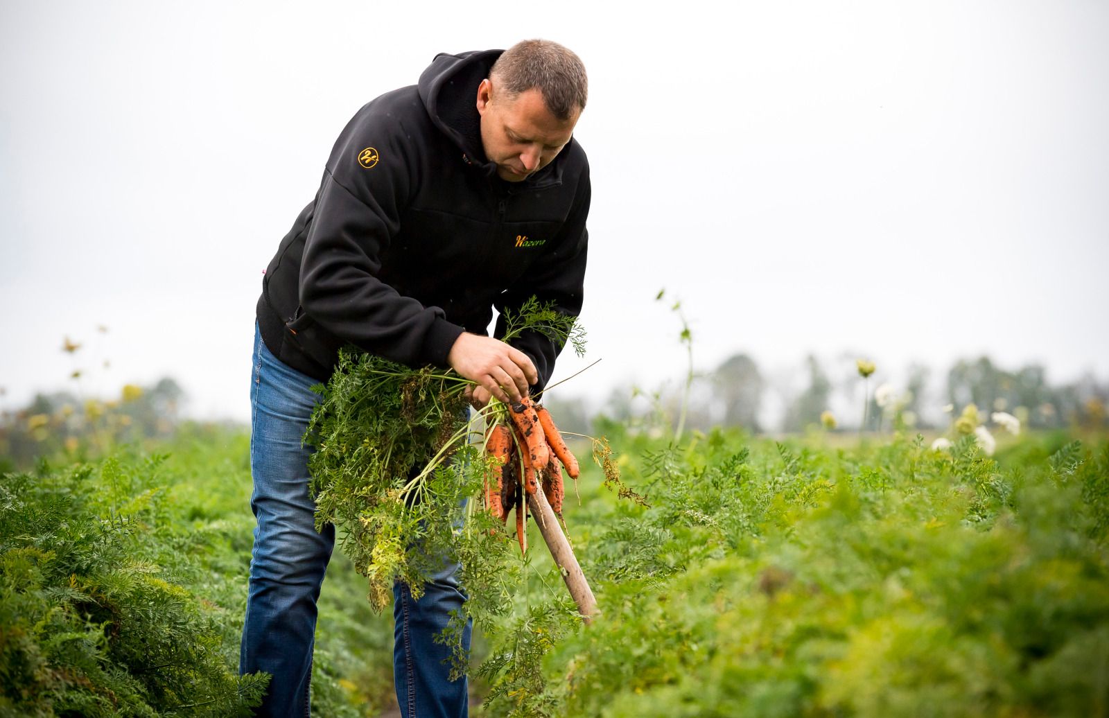 Limagrain Un Groupe Semencier Et Agroalimentaire Fran ais Limagrain Un Groupe Semencier Et Agroalimentaire Fran ais