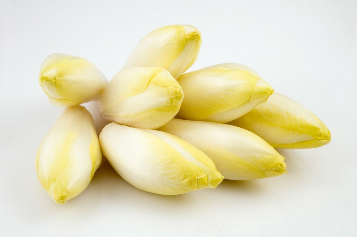 Visuel Endive