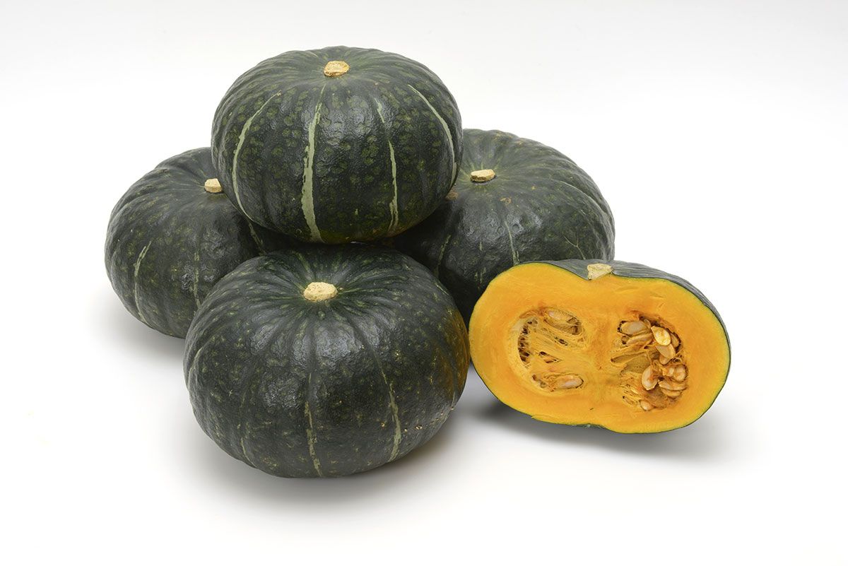 Visuel Kabocha squash