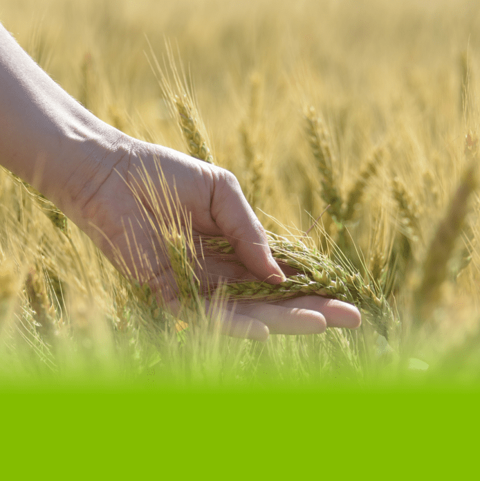 Group Environmental Policy