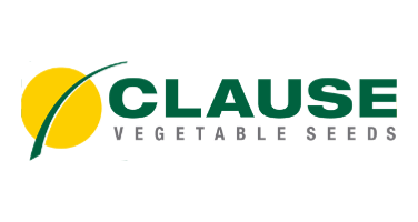 Visuel Clause Vegetable Seeds